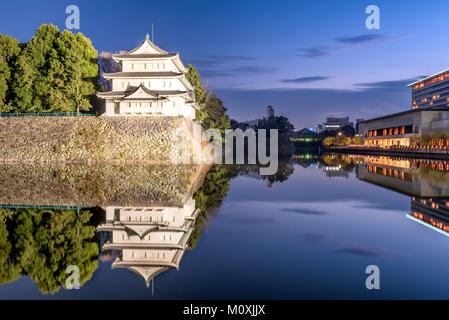 Die Burg von Nagoya, Japan in der Nacht. Stockfoto