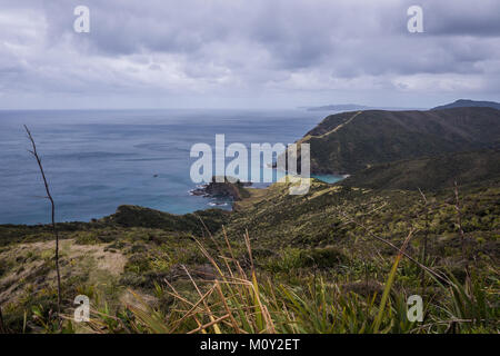 Blick auf die Küste, Cape Reinga, Neuseeland Stockfoto