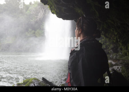 Rainbow Falls Kerikeri, Neuseeland Stockfoto