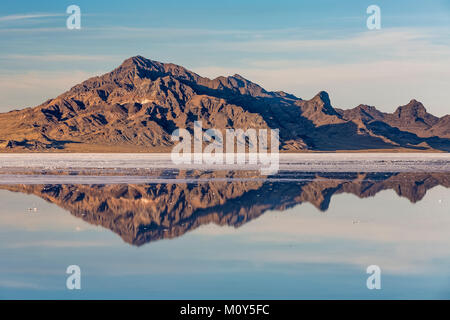 Silber Insel Bereich reflektieren, salzige Wasser an der Bonneville Salt Flats, der BLM Land westlich der Great Salt Lake, Utah, USA Stockfoto