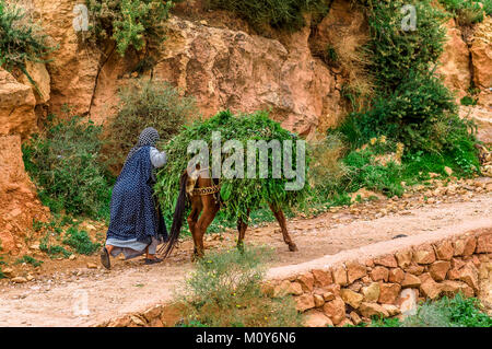 Blick auf lokale Frau mit Esel geeting grünes Gras Stockfoto