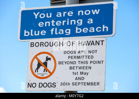 Sie sind jetzt in eine blaue Flagge Strand anmelden und einen Hunde sind nicht über diesen Punkt hinaus ist zwischen dem 1. Mai und 30. September nicht erlaubt Hunde beachten Stockfoto
