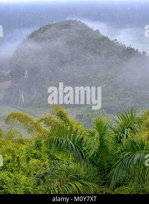 Blick über das Tal von Vinales in Kuba. Morgen in der Dämmerung und Nebel. Nebel im Morgengrauen im Tal von Vinales in Pinar del Rio, berühmt für Tabak pla Stockfoto
