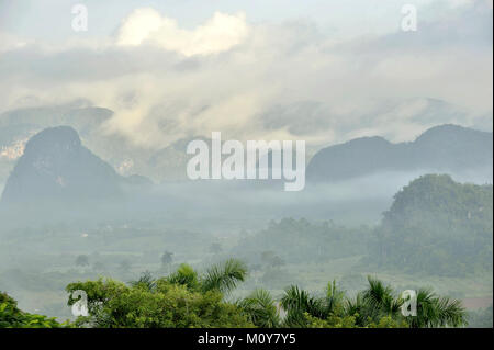 Blick über das Tal von Vinales in Kuba. Morgen in der Dämmerung und Nebel. Nebel im Morgengrauen im Tal von Vinales in Pinar del Rio, berühmt für Tabak pla Stockfoto