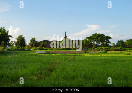 Die Koe - thaung Tempel im Hintergrund der grüne Reisfelder und Bäume im warmen Nachmittag Licht in Mrauk U, Rakhine, Myanmar Stockfoto