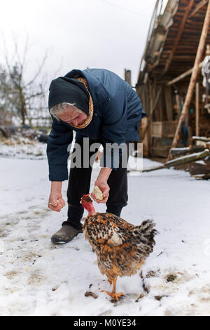 Alte Frau Hand feeding Hühner in Ihrem Hinterhof Stockfoto