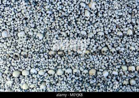 Schädel und Knochen in der Wand der Kapelle der Knochen, die in der Kirche St. Franziskus in Évora, Alentejo, Portugal Stockfoto