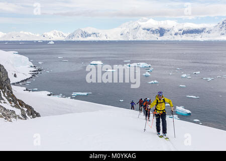 Skitourengeher roped gemeinsam für Sicherheit von gletscherspalten verwenden synthetische Felle auf Skiern den Berg hinauf zu klettern; Rongé Island; Arctowski Halbinsel; Antarktis Stockfoto