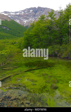 Rio del Vuetas; in der Nähe von Reserva Provincial Lago del Desierto, Chile Stockfoto