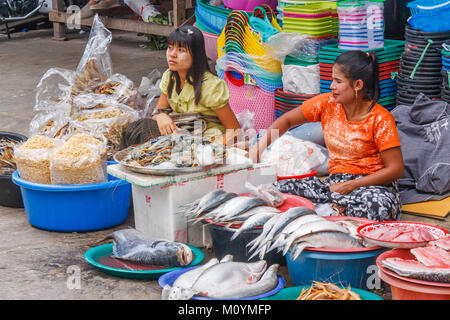 Frauen Straßenhändler, Fisch, Mae Sot, Thailand Stockfoto