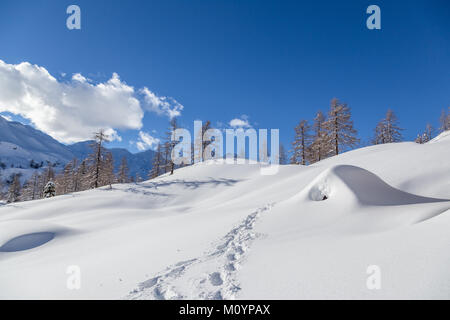 Winterlandschaft mit kleinen Holzhaus in Julia Alpen Berg ist Slowenien Stockfoto