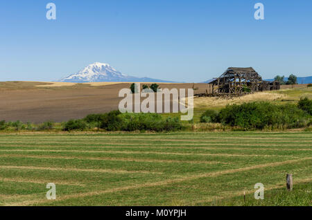 Verlassene Scheune mit Mount Adams im Hintergrund und landwirtschaftlichen Bereichen. Washington, USA Stockfoto