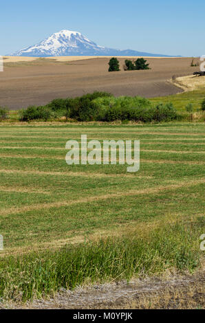 Mount Adams mit landwirtschaftlichen Feldern im Vordergrund. Washington, USA Stockfoto