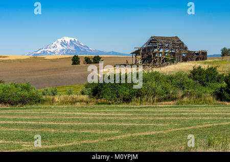 Verlassene Scheune mit Mount Adams im Hintergrund und landwirtschaftlichen Bereichen. Washington, USA Stockfoto