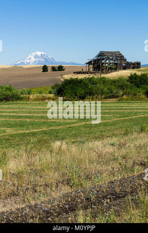 Verlassene Scheune mit Mount Adams im Hintergrund und landwirtschaftlichen Bereichen. Washington, USA Stockfoto