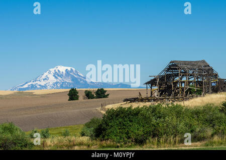 Verlassene Scheune mit Mount Adams im Hintergrund und landwirtschaftlichen Bereichen. Washington, USA Stockfoto