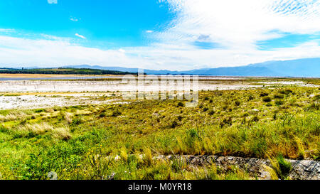 Extrem niedrige Wasserstand in den Theewaterkloof Damm oder TWK Damm aufgrund der Dürre. Der Damm ist ein wichtiges Reservoir für Kapstadt Stockfoto