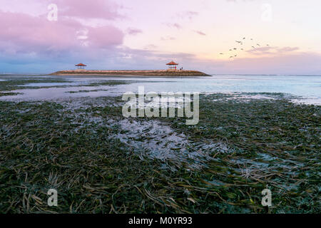 Pavillon in der Mitte, am Meer bei Ebbe bei Sonnenuntergang oder Sunrise mit Vogel fliegen in den Himmel Stockfoto