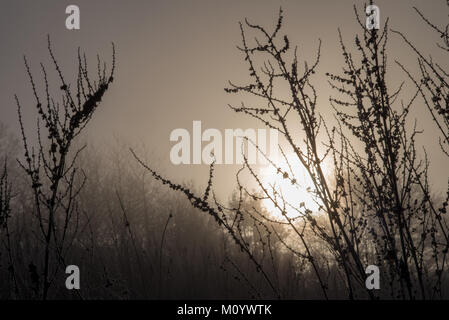 Ein Winter dunstiger Morgen Sonnenaufgang in England Stockfoto