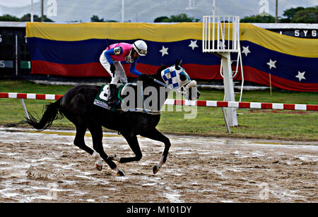 Valencia, Carabobo, Venezuela. 24. Juni 2015. Juni 24, 2015. Allgemeine und abwechslungsreiches Umfeld der Pferderennen in der nationalen Hippodrom der Stadt Valencia, Carabobo Zustand. Foto: Juan Carlos Hernandez Credit: Juan Carlos Hernandez/ZUMA Draht/Alamy leben Nachrichten Stockfoto