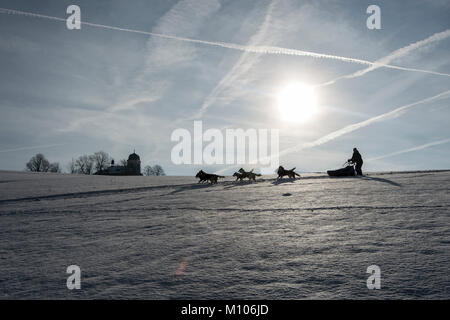 Destne v Orlickych horach, Tschechien, am 25. Januar 2018. Ein Hundeschlitten in Aktion während der 22 Jahre der "edivackuv lange "Extreme Race in Destne v Orlickych horach, Tschechien, am 25. Januar 2018. Das Rennen endet am 27. Januar. (CTK Photo/David Tanecek) Quelle: CTK/Alamy leben Nachrichten Stockfoto