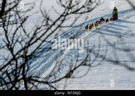 Destne v Orlickych horach, Tschechien, am 25. Januar 2018. Ein Hundeschlitten in Aktion während der 22 Jahre der "edivackuv lange "Extreme Race in Destne v Orlickych horach, Tschechien, am 25. Januar 2018. Das Rennen endet am 27. Januar. (CTK Photo/David Tanecek) Quelle: CTK/Alamy leben Nachrichten Stockfoto