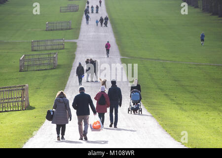 Windsor, Großbritannien. 25. Januar, 2018. Touristen und einheimische Bewohner genießen die Sonne auf dem Langen im Windsor Great Park entfernt. Credit: Mark Kerrison/Alamy leben Nachrichten Stockfoto