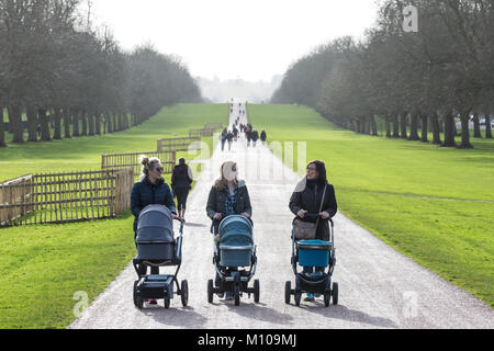 Windsor, Großbritannien. 25. Januar, 2018. Touristen und einheimische Bewohner genießen die Sonne auf dem Langen im Windsor Great Park entfernt. Credit: Mark Kerrison/Alamy leben Nachrichten Stockfoto