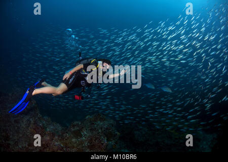 Indischer Ozean, Malediven. 30 Aug, 2017. Weibliche Taucher schwimmen in der Nähe der Schule der Fische Credit: Andrey Nekrasov/ZUMA Draht/ZUMAPRESS.com/Alamy leben Nachrichten Stockfoto