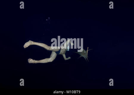 Indischer Ozean, Malediven. 5 Sep, 2017. man schwimmt in der Nacht mit Shark - Tawny Ammenhaie Credit: Andrey Nekrasov/ZUMA Draht/ZUMAPRESS.com/Alamy leben Nachrichten Stockfoto