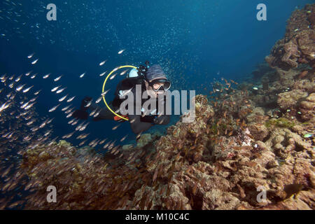 Indischer Ozean, Malediven. 5. Sep 2017. Männliche Scuba Diver und Schule der Glas Fische - pigmy Sweeper Credit: Andrey Nekrasov/ZUMA Draht/ZUMAPRESS.com/Alamy leben Nachrichten Stockfoto