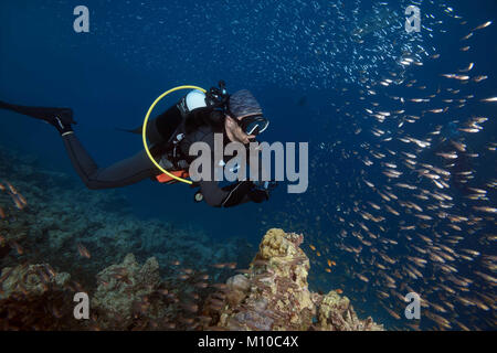 Indischer Ozean, Malediven. 5. Sep 2017. Männliche Scuba Diver und Schule der Glas Fische - pigmy Sweeper Credit: Andrey Nekrasov/ZUMA Draht/ZUMAPRESS.com/Alamy leben Nachrichten Stockfoto