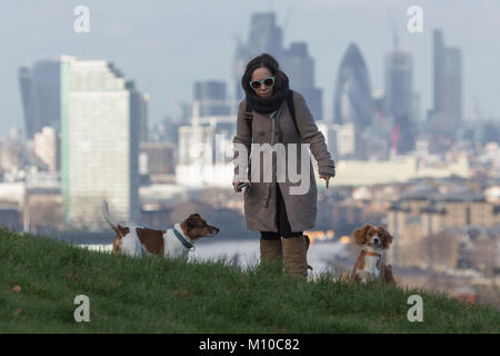 In Greenwich, London, Vereinigtes Königreich. 25. Januar, 2018. Greenwich Park in South East London genossen ein sonnigen Tag nach mehreren Tagen des grauen, nassen Wetter. Credit: Rob Powell/Alamy leben Nachrichten Stockfoto