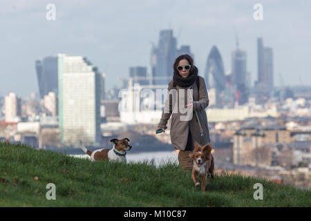 In Greenwich, London, Vereinigtes Königreich. 25. Januar, 2018. Greenwich Park in South East London genossen ein sonnigen Tag nach mehreren Tagen des grauen, nassen Wetter. Credit: Rob Powell/Alamy leben Nachrichten Stockfoto