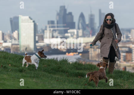 In Greenwich, London, Vereinigtes Königreich. 25. Januar, 2018. Greenwich Park in South East London genossen ein sonnigen Tag nach mehreren Tagen des grauen, nassen Wetter. Credit: Rob Powell/Alamy leben Nachrichten Stockfoto