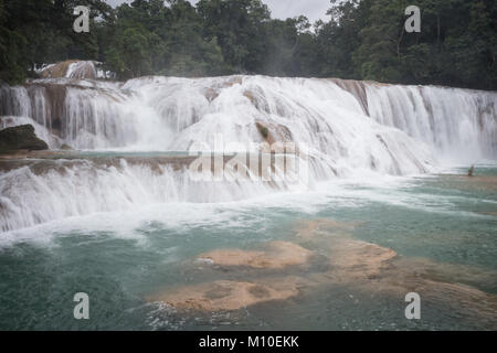 Agua Azul Wasserfälle kaskaden, Palenque, Mexiko Stockfoto