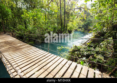 Übergabe Brücke im grünen Dschungel, Costa Rica, Mittelamerika Stockfoto