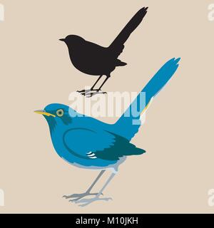 White-bellied Redstar vogel Vektor-illustration Flat Style schwarze Silhouette Stock Vektor