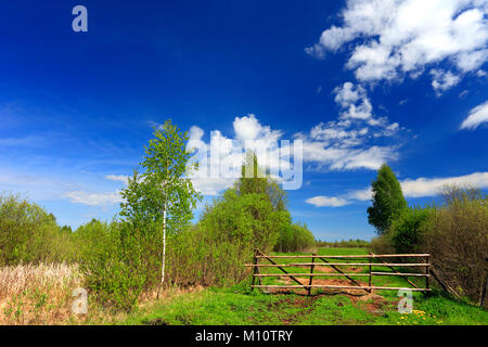 Panoramablick von Feuchtgebieten und Wiesen des Biebrzanski Nationalpark durch die biebrza Fluss in Polen Stockfoto