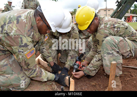 Bau Soldaten auf die 561St Ingenieur Gesellschaft zugeordnet, 84th Engineer Battalion, 130 Engineer Brigade, 8 Theater Sustainment Command, arbeiten gemeinsam an der Baustelle am Schofield Baracke, Hawaii, am 23.01.2018. Die Ingenieure arbeiten, den Boden zu bereiten, damit der 25 Infanterie Division 3. Brigade Combat Team Bronco Memorial in der Nähe platziert werden können. (U.S. Armee Stockfoto