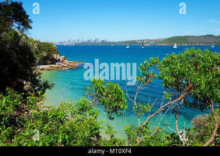 Die Stadt Sydney und die Sydney Harbour von Lookout entlang South Head Heritage Trail, Watsons Bay, Sydney, Australien. Stockfoto