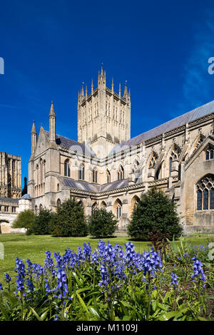 Wells Somerset England Mai 4, 2016 Die Kathedrale Stockfoto