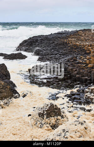 Irland der Giant's Causeway ist ein Gebiet von ca. 40.000 Verriegelung Basaltsäulen Stockfoto