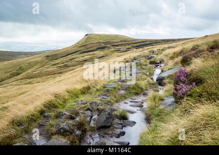 Nasses Wetter. Steinigen Weg durch das Moor zu Schweinen Zurück nach den jüngsten Regenfällen, Kinder Scout, Nationalpark Peak District, Derbyshire, England, Großbritannien Stockfoto