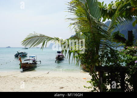 Longtailboats am Ufer auf den unberührten weißen Sandstrand und turqouise Gewässern von Koh Phi Phi Don mit eine üppig grüne Palme im Fokus vor Ihnen. Stockfoto