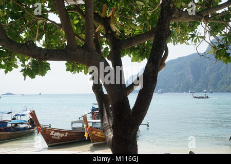 Longtailboats am Ufer auf den unberührten weißen Sandstrand und turqouise Gewässern von Koh Phi Phi Don mit einer üppigen grünen Baum im Fokus vor Ihnen. Stockfoto