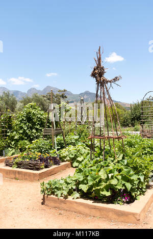 Simondium in der Nähe von Paarl Western Cape Südafrika. Circa 2017. Gärten der Babylonstoren Wine Estate. Stockfoto