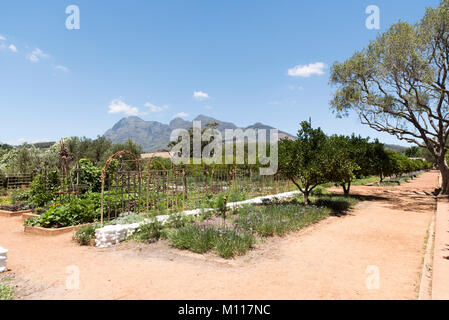 Simondium in der Nähe von Paarl Western Cape Südafrika. Circa 2017. Gärten der Babylonstoren Wine Estate. Stockfoto