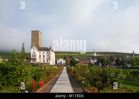 Boosenburg, Oberburg, Rüdesheim, Hessen, Deutschland, Europa ich Boosenburg, Oberburg, Rüdesheim am Rhein, Rheingau, Hessen, Deutschland, eropa Stockfoto