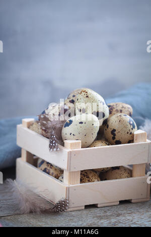 Wachteleier in der Holzbox mit Federn auf der rustikalen Hintergrund. Ostern Frühling Postkarte Konzept. Getönt. Stockfoto